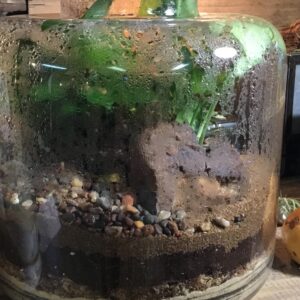 Date Night Terrarium Class