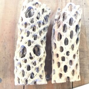 Natural Cholla Wood