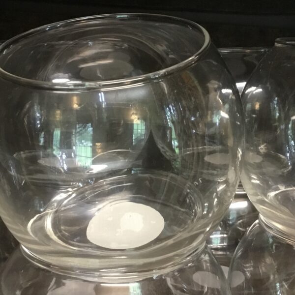 DIY 5 in Orb Air Plant Terrarium + 1 Air Plant