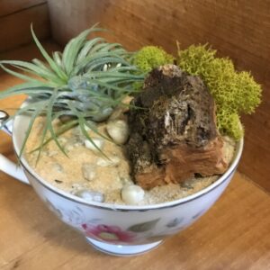 Vintage Tea Cup Garden