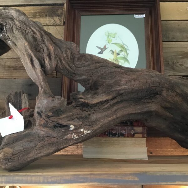 Driftwood XL